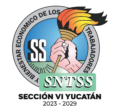 Sindicato Nacional de Trabajadores del Seguro Social Sección VI Yucatán